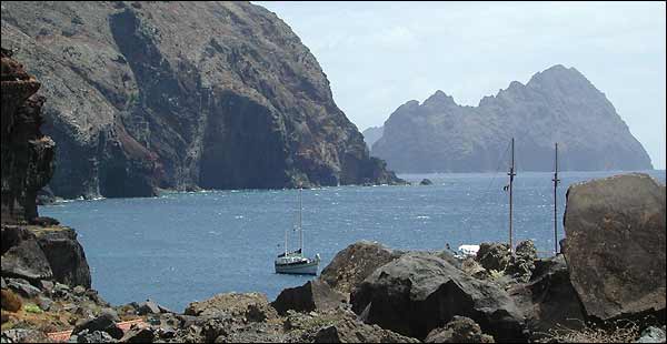 Birding Madeira The Desertas Islands